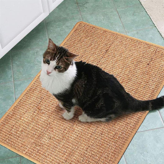 Protector de sofá para gatos - Rascador adhesivo anti-arañazos - Image 10