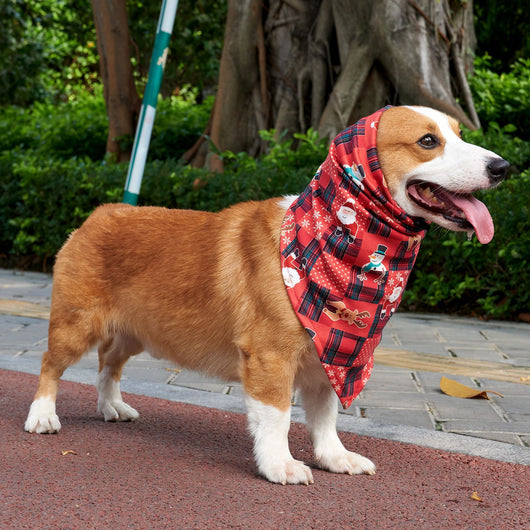 Pañuelo Calmante para Perros - Protector de Babas - Image 11