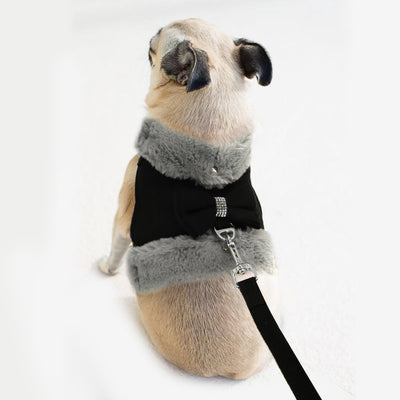 Arnés de Paseo para Perros con Cuerda de Tracción y Pecho Acolchado - Image 17