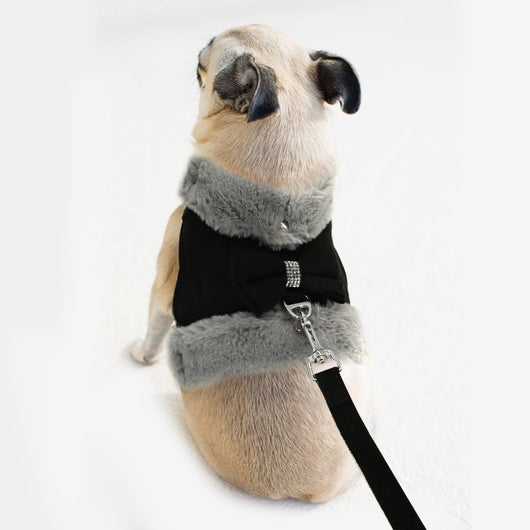 Arnés de Paseo para Perros con Cuerda de Tracción y Pecho Acolchado - Image 17