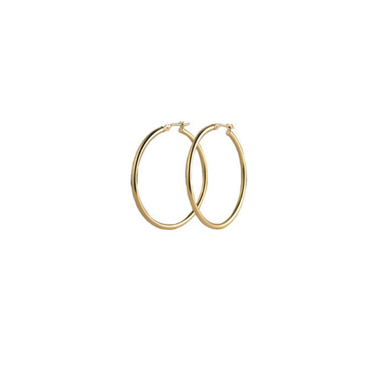 Aretes de Temperamento Eterno - Image 4