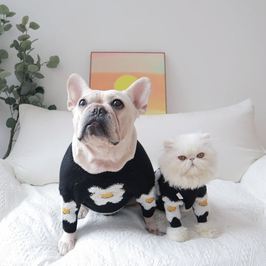 Suéter Térmico para Mascotas con Flores - Abrigo Cálido para Otoño e Invierno - Image 8
