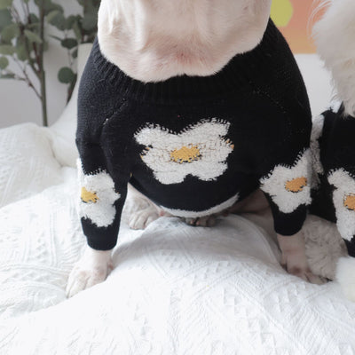 Suéter Térmico para Mascotas con Flores - Abrigo Cálido para Otoño e Invierno - Image 11