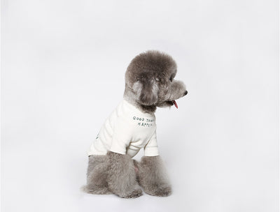Playera para Mascotas con Estampado de Letras Wind - Diseño Simple y Cómodo - Image 10