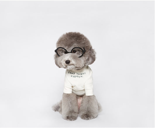 Playera para Mascotas con Estampado de Letras Wind - Diseño Simple y Cómodo - Image 11