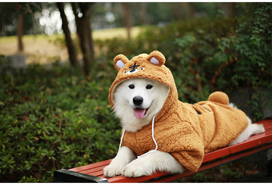 Ropa de Abrigo para Perros Medianos y Grandes - Otoño e Invierno - Image 8