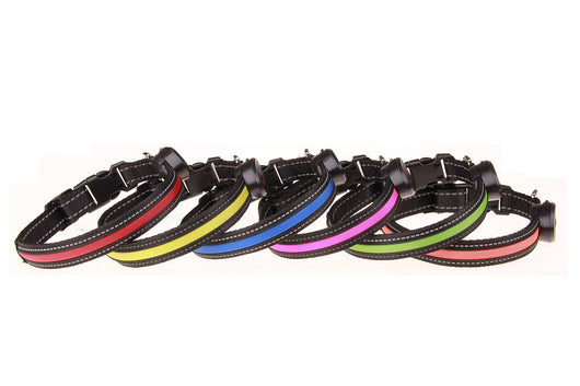 Collar Luminoso para Perros - Image 12