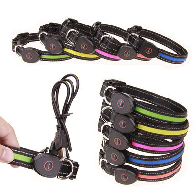 Collar Luminoso para Perros - Image 19