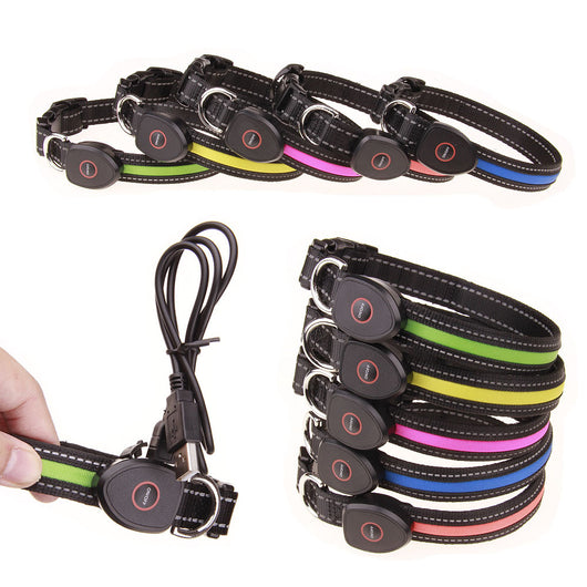 Collar Luminoso para Perros - Image 19