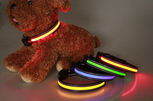 Collar Luminoso para Perros - Image 20