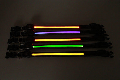 Collar Luminoso para Perros - Image 21