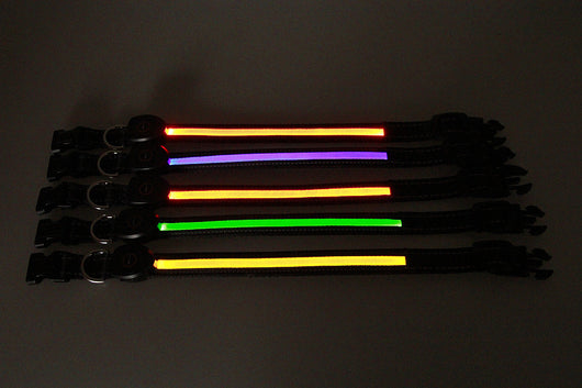 Collar Luminoso para Perros - Image 21