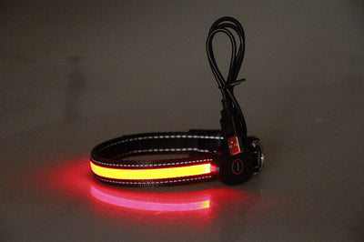 Collar Luminoso para Perros - Image 22