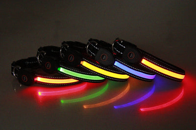 Collar Luminoso para Perros - Image 23