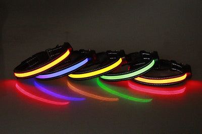 Collar Luminoso para Perros - Image 24