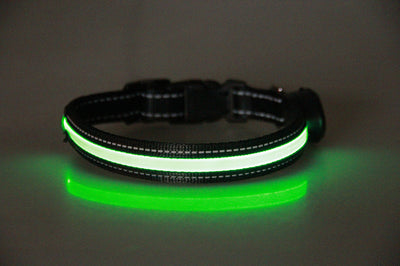 Collar Luminoso para Perros - Image 25