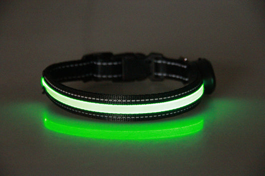 Collar Luminoso para Perros - Image 25