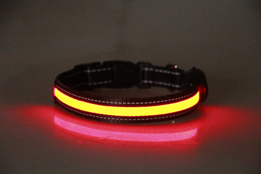 Collar Luminoso para Perros - Image 26