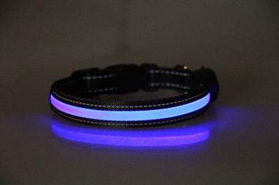 Collar Luminoso para Perros - Image 27