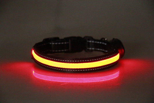 Collar Luminoso para Perros - Image 28