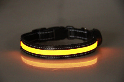 Collar Luminoso para Perros - Image 29