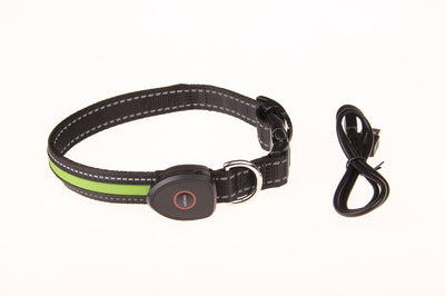 Collar Luminoso para Perros - Image 34