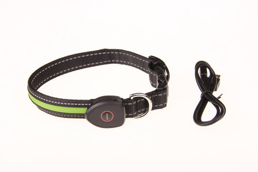 Collar Luminoso para Perros - Image 34