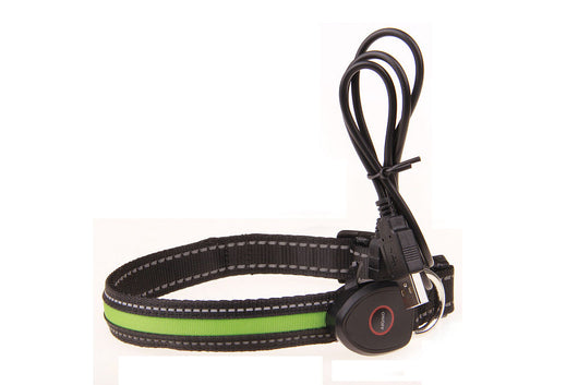 Collar Luminoso para Perros - Image 35