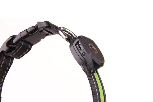 Collar Luminoso para Perros - Image 37