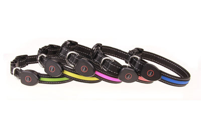 Collar Luminoso para Perros - Image 38