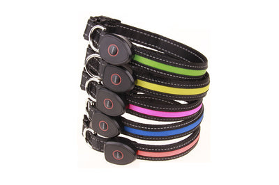 Collar Luminoso para Perros - Image 39