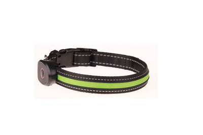 Collar Luminoso para Perros - Image 40
