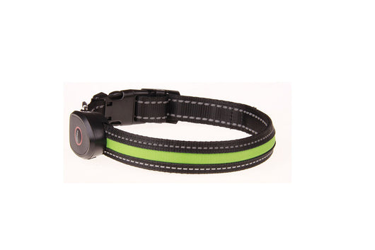 Collar Luminoso para Perros - Image 40