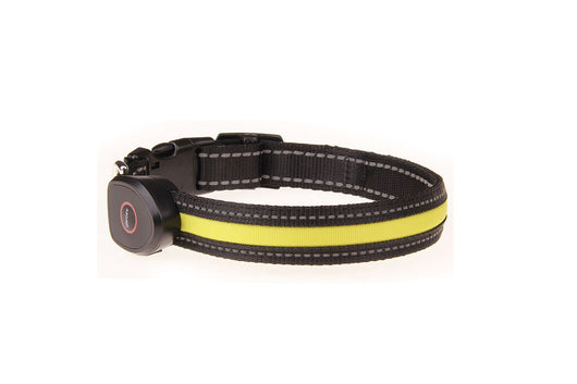 Collar Luminoso para Perros - Image 41