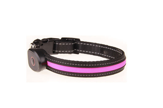 Collar Luminoso para Perros - Image 42