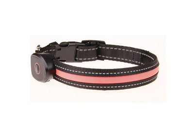 Collar Luminoso para Perros - Image 43