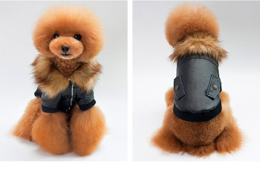 Abrigo Cálido con Cuello de Pelaje para Mascotas - Image 10