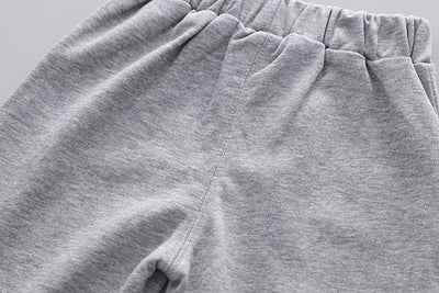 Conjunto de Sudadera con Capucha Dinosaurio para Niños - Algodón Otoño Dos Piezas - Image 21