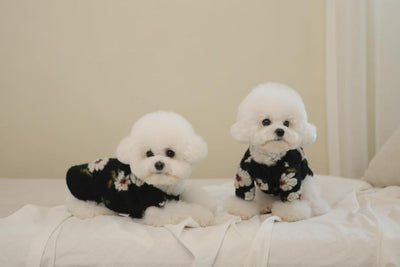 Suéter para Perro de Lana de Cordero con Flores - Image 14