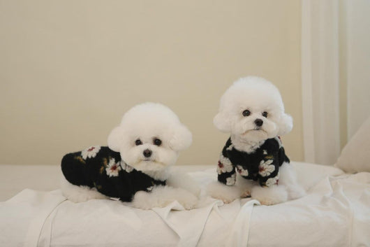 Suéter para Perro de Lana de Cordero con Flores - Image 14
