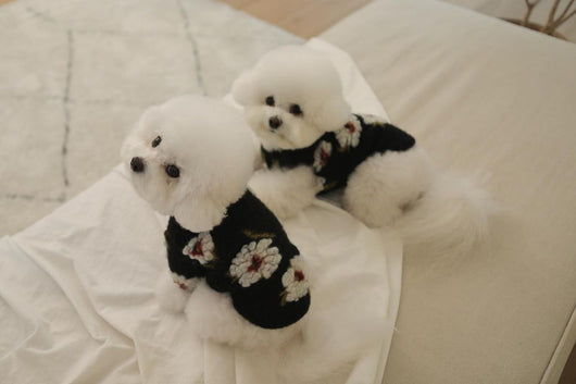 Suéter para Perro de Lana de Cordero con Flores - Image 17