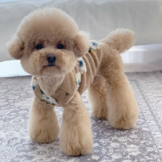 Suéter para Perro de Lana de Cordero con Flores - Image 18