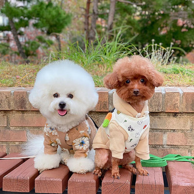 Suéter para Perro de Lana de Cordero con Flores - Image 27