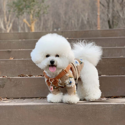 Suéter para Perro de Lana de Cordero con Flores - Image 28