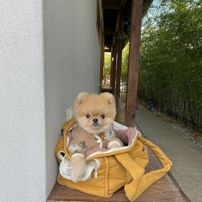 Suéter para Perro de Lana de Cordero con Flores - Image 29