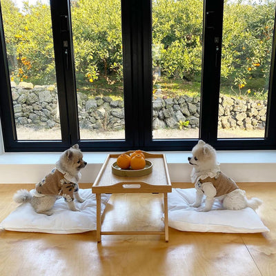 Suéter para Perro de Lana de Cordero con Flores - Image 32