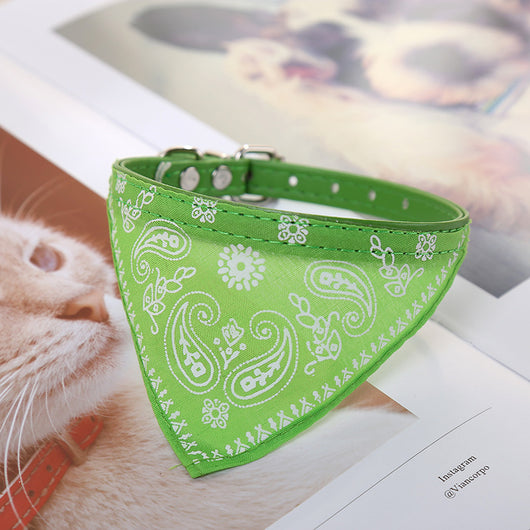Pañuelo Triangular Absorbente para Collar de Perro - Image 11