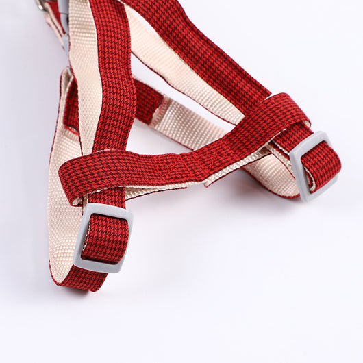Collar y Correa Ajustable para Perros Pequeños, Medianos y Grandes - Image 11