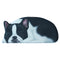 Perro Lindo 9
