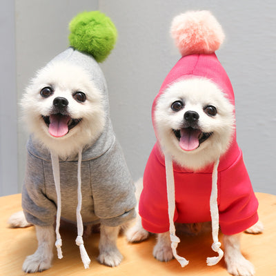Suéter Otoñal con Diseño de Perro y Gato para Mascotas - Image 8
